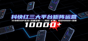 抖快红三大平台矩阵运营，12小时SOP实战+流量获取-风控-扩量，月引10000+线索-轻创网