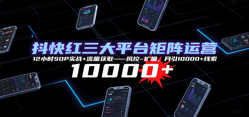 图片[1]-抖快红三大平台矩阵运营，12小时SOP实战+流量获取-风控-扩量，月引10000+线索-轻创网