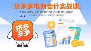 拼多多电商会计实战课：轻松掌握拼多多特有的会计逻辑与数据分析能力-轻创网
