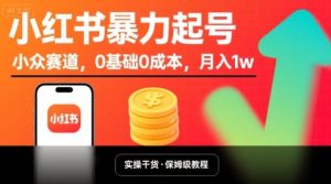小红书暴力起号，小众赛道，0基础0成本，月入1w-轻创网