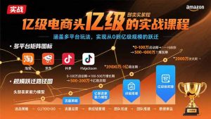 亿级电商头部卖家的实战课程：涵盖多平台玩法，实现从0到亿级规模的跃迁-轻创网