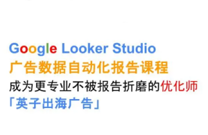 英子出海广告·Google Looker Studio从新手到高手-轻创网