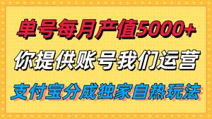 单月产值5000+，支付宝分成代运营，你提供账号坐等分钱，我们帮你运营-轻创网