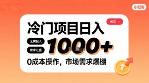 在小红书上发现个冷门路子，需求不小，零成本操作，每天能有1k进账-轻创网