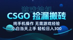 8月最新游戏搬砖,CSGO纯挂机,不需要玩游戏,实现真挂机,月入1W+-轻创网