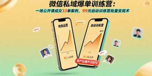 微信私域爆单训练营：一场公开课成交33单案例，99元自动训练营批量变现术-轻创网