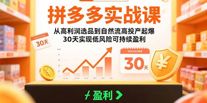 拼多多实战课：从高利润选品到自然流高投产起爆 30天实现低风险可持续盈利-轻创网