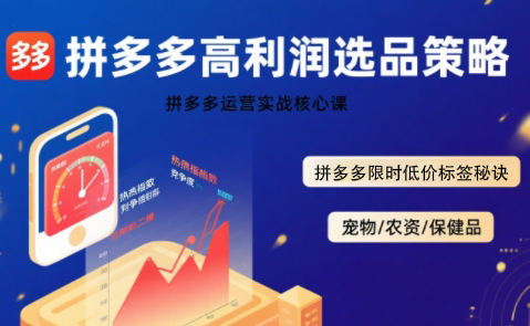 久号老师·拼多多选品暴利技术实战课-轻创网
