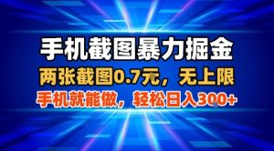 手机截图暴力掘金，两张截图0.7米，一部手机就能做，轻松日入3张+【揭秘】-轻创网