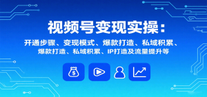 视频号变现实操，含开通步骤、变现模式、爆款打造、私域积累、IP打造及流量提升等-轻创网