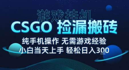 8月最新游戏搬砖，CSGO纯挂G，不需要玩游戏，实现真挂G，月入1W+【揭秘】-轻创网