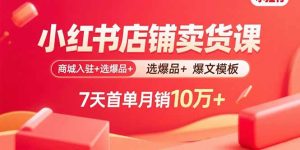 小红书店铺卖货课：商城入驻+选爆品+爆文模板，7天首单月销10万+-轻创网