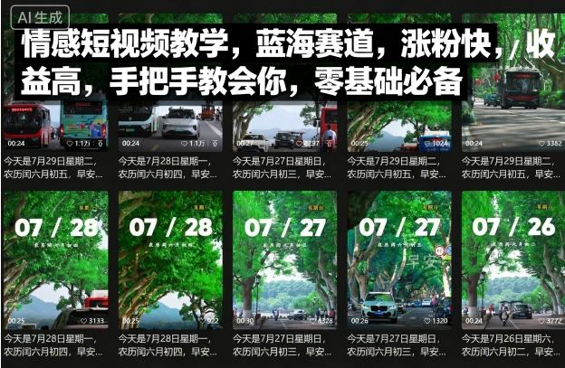 情感短视频教学，蓝海赛道，涨粉快，收益高，手把手教会你，零基础必备-轻创网