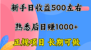 一台电脑，前期日收益300-500，熟练后日入1000左右-轻创网