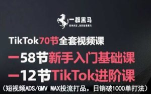 TikTok全套视频课,新手入门+进阶课,短视频ADS-GMV MAX投流打品,日销破1000单打法-轻创网