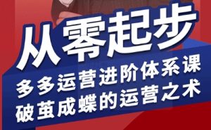拼多多运营进阶系统课，从零起步，多多运营进阶体系课，破茧成蝶的运营之术(更新9月)-轻创网