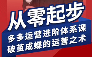 海神·拼多多运营进阶系统课(更新9月)-轻创网