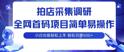 拍店采集调研，全网首码项目，简单易操作， 小白也能轻松上手，多账号操作，轻松日入5张【揭秘】-轻创网