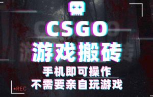 CSGO游戏挂机捡漏，单日扫货500+，年底小高峰上车可吃肉，手机即可操作...-轻创网