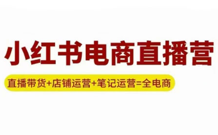申铭老师·小红书电商直播营(更新)-轻创网