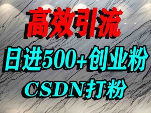 怎么打创业粉？CSDN又一个你不知道的打粉引流神秘平台，单人日引500+精准流量-轻创网