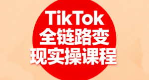 小杨老师·TikTok全链路变现实操课程-轻创网