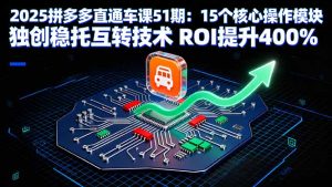 2025拼多多直通车课51期：15个核心操作模块 独创稳托互转技术 ROI提升400%-轻创网