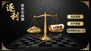《逐 利》商业实战课，底层逻辑、杠杆策略、18锦囊，跨周期财富心法-轻创网