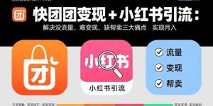 快团团变现+小红书引流：解决没流量、难变现、缺帮卖三大痛点 实现月入3w+-轻创网