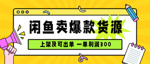闲鱼卖爆款货源，每天利润1000，上架即出单-轻创网