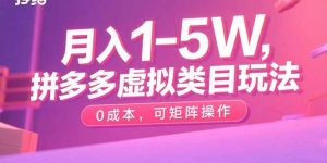 月入1-5W，拼多多虚拟类目玩法，0成本，可矩阵操作-轻创网