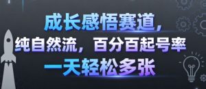 成长感悟赛道，纯自然流，百分百起号率 一天轻松多张-轻创网