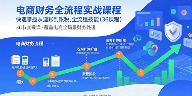电商财务全流程实战课程：快速掌握从建账到报税的全流程技能(36节课-轻创网