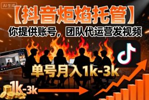 【抖音炬焰托管】你提供账号，团队代运营发视频，单号月入1k+【揭秘】-轻创网