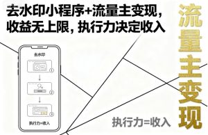 去水印小程序+流量主变现，收益无上限，执行力决定收入-轻创网