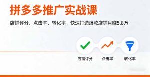 拼多多推广实战课，店铺评分、点击率、转化率，快速打造爆款店铺月赚5.8万-轻创网