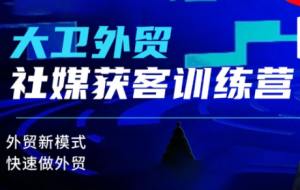 大卫老师·外贸社媒获客独家训练营(更新10月)-轻创网