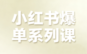 尼采老师·小红书爆单系列课-轻创网