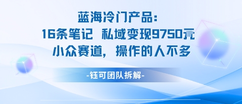 蓝海项目：16条笔记私域变现9750米小众赛道操作的人不多-轻创网