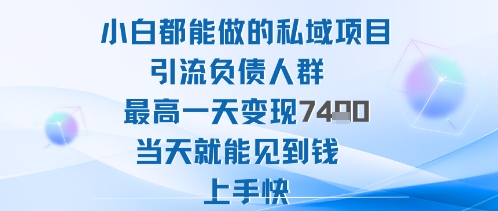 2025年小白都能做的私域项目引流负债人群最高一天变现1k+高变现难度低当天就能见到钱上手快-轻创网