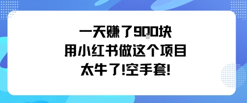 一天挣了9张用小红书做这个项目太牛了，空手套-轻创网
