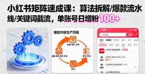 小红书矩阵起号速成课：算法拆解/爆款流水线/关键词截流 单账号日增粉100+-轻创网