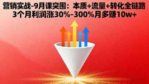 营销实战-9月突围课:本质+流量+转化全链路 3个月利润涨30%-300%月多赚10w+-轻创网