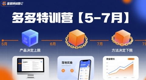 多多特训营，产品决定上限，方法决定下限，各种玩法技巧落地实操(更新)-轻创网