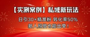 【实测案例】私域新玩法，日引30+精准粉，转化率50%，新人照做也能出单！-轻创网