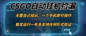 游戏自动挂G捡漏，一个手机即可操作，当天可操作见到结果，新手小白轻松月入1W+【揭秘】-轻创网