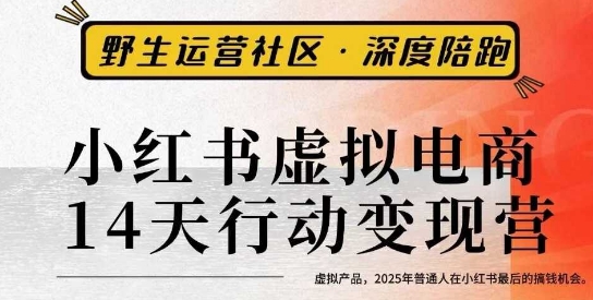 小红书虚拟电商14天变现训练营3.0，​虚拟产品，2025年普通人在小红书最后的搞钱机会-轻创网