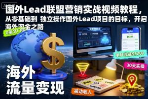 国外Lead联盟营销实战视频教程,从零基础到独立操作国外Lead项目的目标,开启海外淘金之路-轻创网