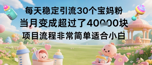 每天稳定引流30个宝妈粉当月变成超过了1W+项目流程非常简单适合小白-轻创网