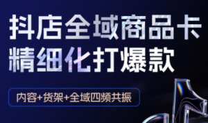 金戈·抖店爆单陪跑课-抖音小店爆单陪跑(更新10月)-轻创网